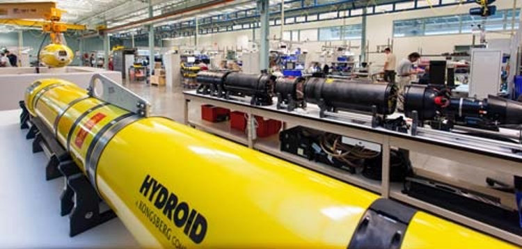 Hydroid facility