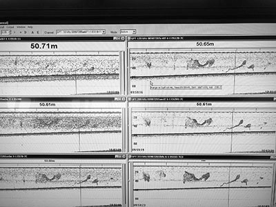 Desktop view of a software displaying data from the acoustic tools.