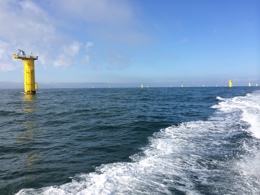 Photo Offshore Wind Farm