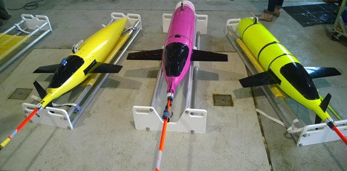 Underwater deals glider toy