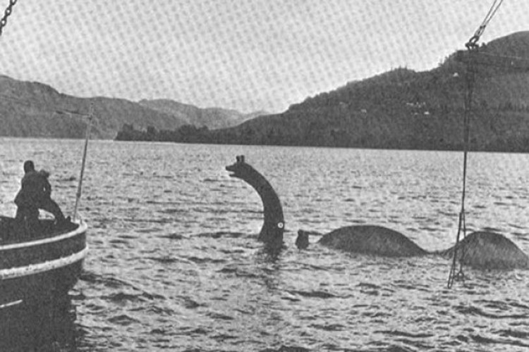 sherlock-nessie-560x332.jpg