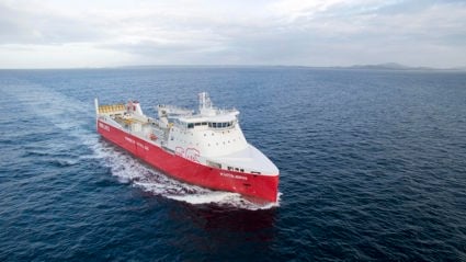 NVC 405 LNG, Kvitbjørn