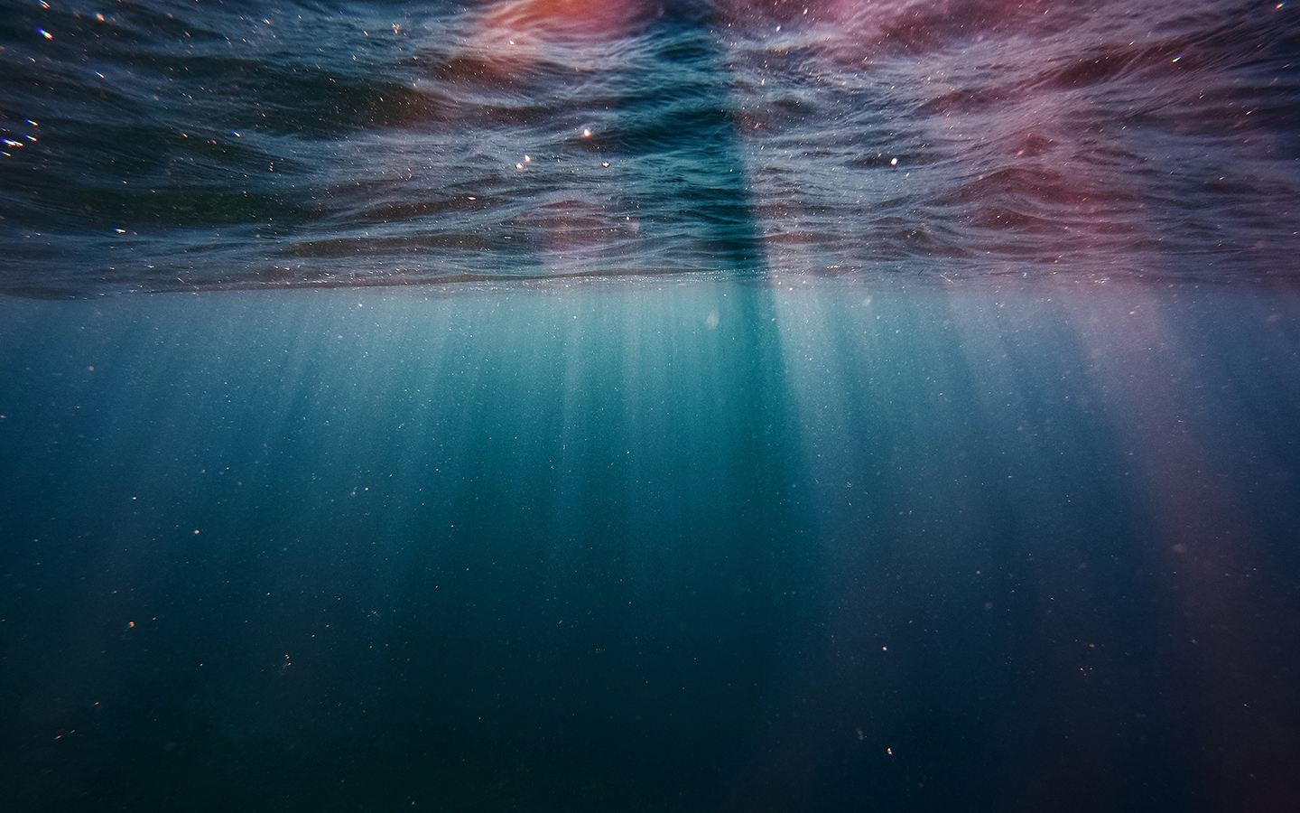 Light coming through the ocean surface, seen from below the surface.