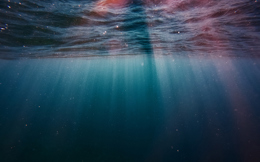 Light coming through the ocean surface, seen from below the surface.