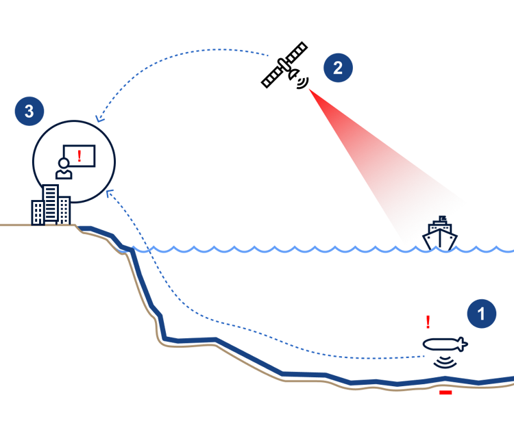 Subsea Pipeline Patrol Uncovers Potential Threat.