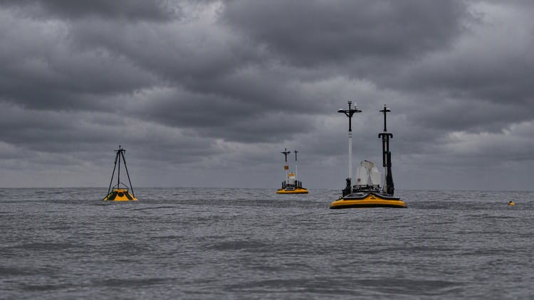Seawatch buoys at sea